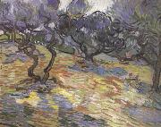 Vincent Van Gogh Olive Trees:Bright Blue Sky (nn04) France oil painting artist